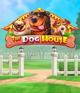 Pragmatic Play's The Dog House Slot, offering a delightful adventure into the world of lovable dogs. Enjoy gameplay elements such as sticky wilds, perfect for delivering exciting wins. A must-try for animal enthusiasts a cheerful atmosphere and the opportunity to win big.