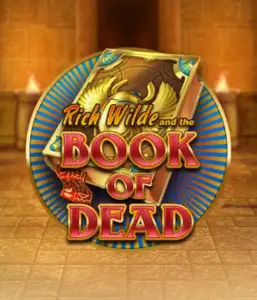 Embark on the thrilling world of Book of Dead Slot by Play'n GO, showcasing vivid graphics of Rich Wilde’s adventurous journey through ancient Egyptian tombs and artifacts. Uncover lost riches with engaging mechanics like free spins, expanding icons, and a gamble option. Ideal for those seeking adventure with a desire for unearthing secrets.